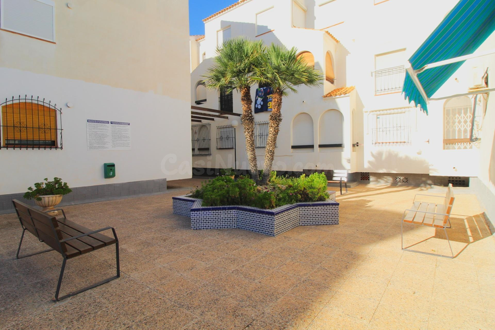 Estudio en venta en Torrevieja – Residencial El Paraíso (Ace - foto 3
