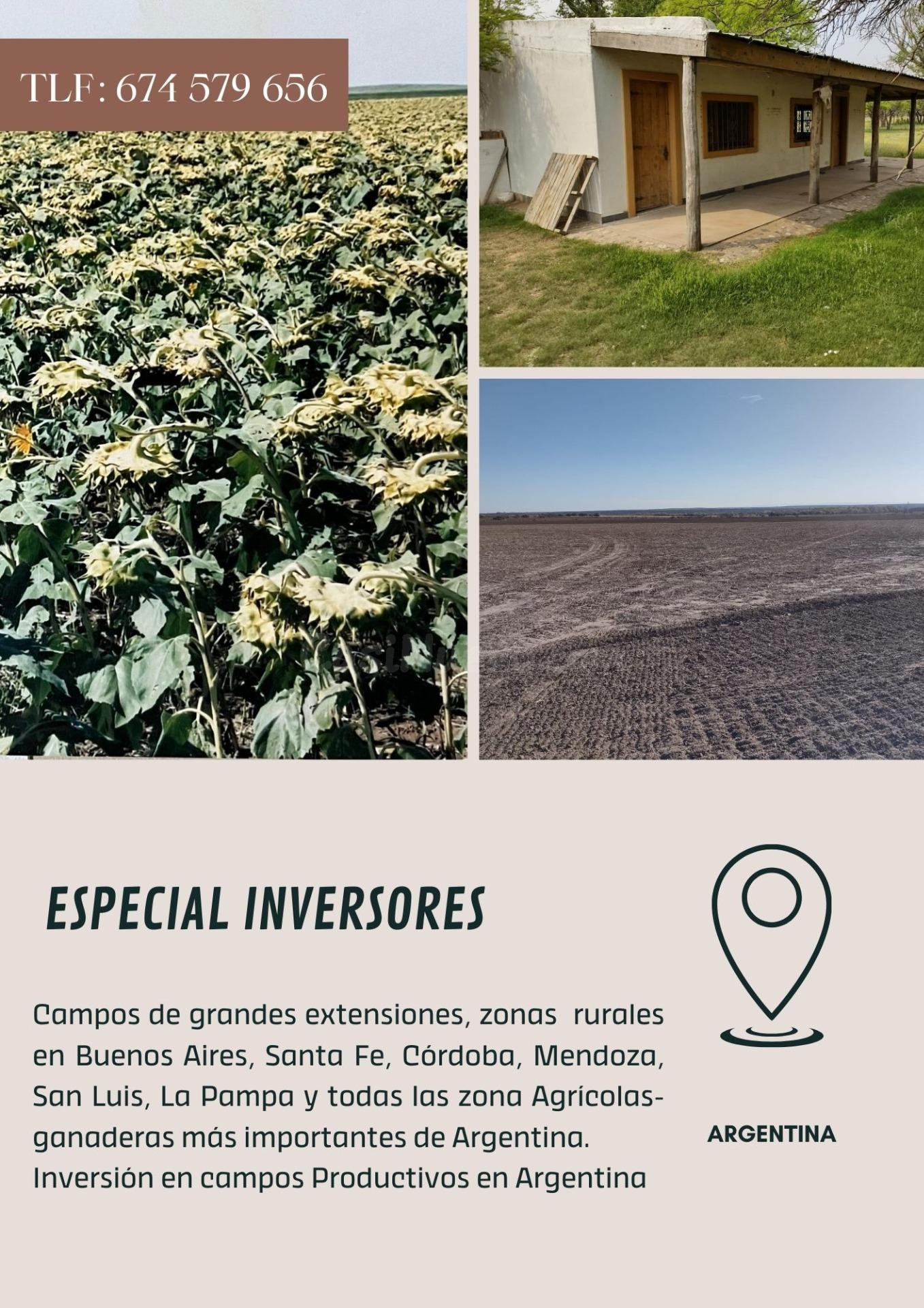 CAMPOS EN ARGENTINA ESPECIAL INVERSORES - foto 3