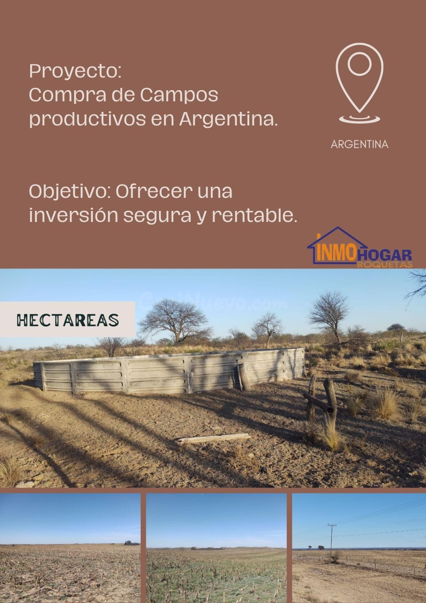 CAMPOS EN ARGENTINA ESPECIAL INVERSORES - foto 4