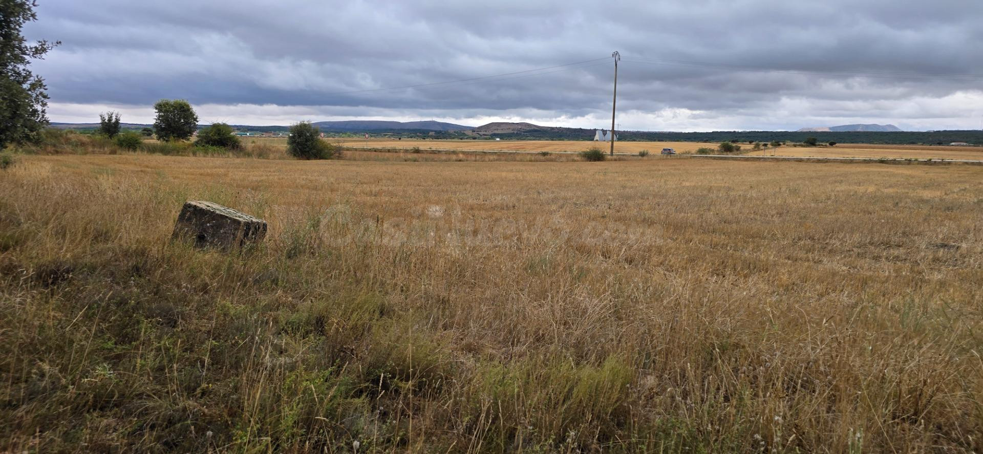 Parcela rústica de secano a pie de carretera entre Garray y Canrredondo - foto 3