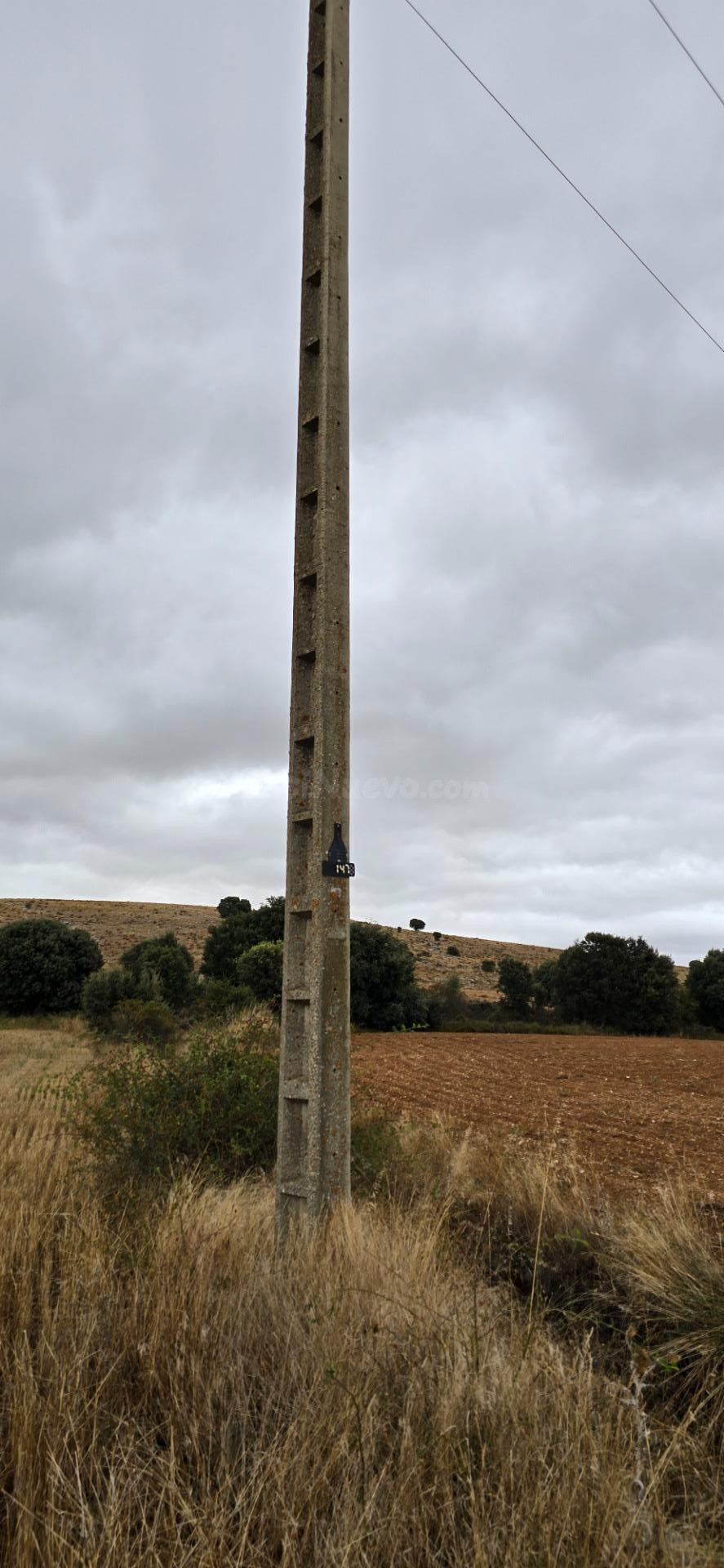 Parcela rústica de secano a pie de carretera entre Garray y Canrredondo - foto 4