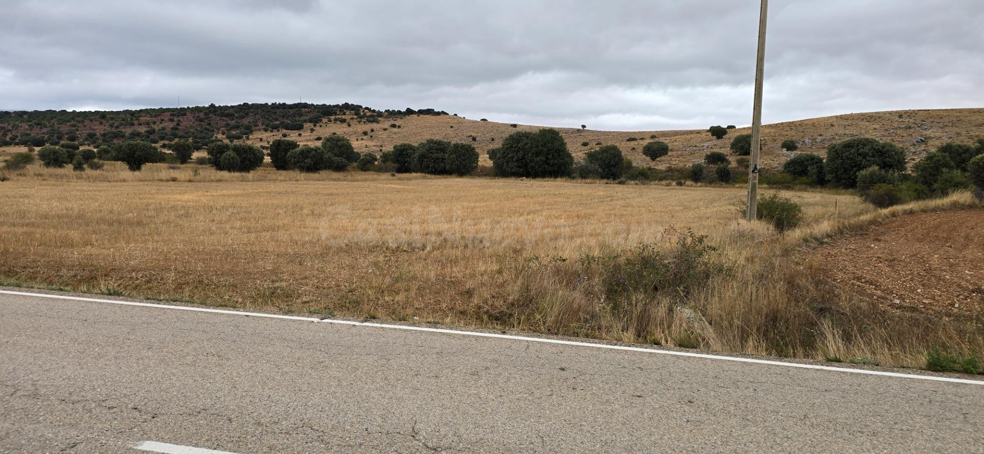 Parcela rústica de secano a pie de carretera entre Garray y Canrredondo - foto 5
