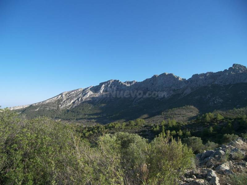 Terreno rural en venta - Bernia - foto 4