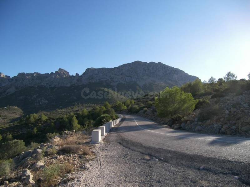 Terreno rural en venta - Bernia - foto 5