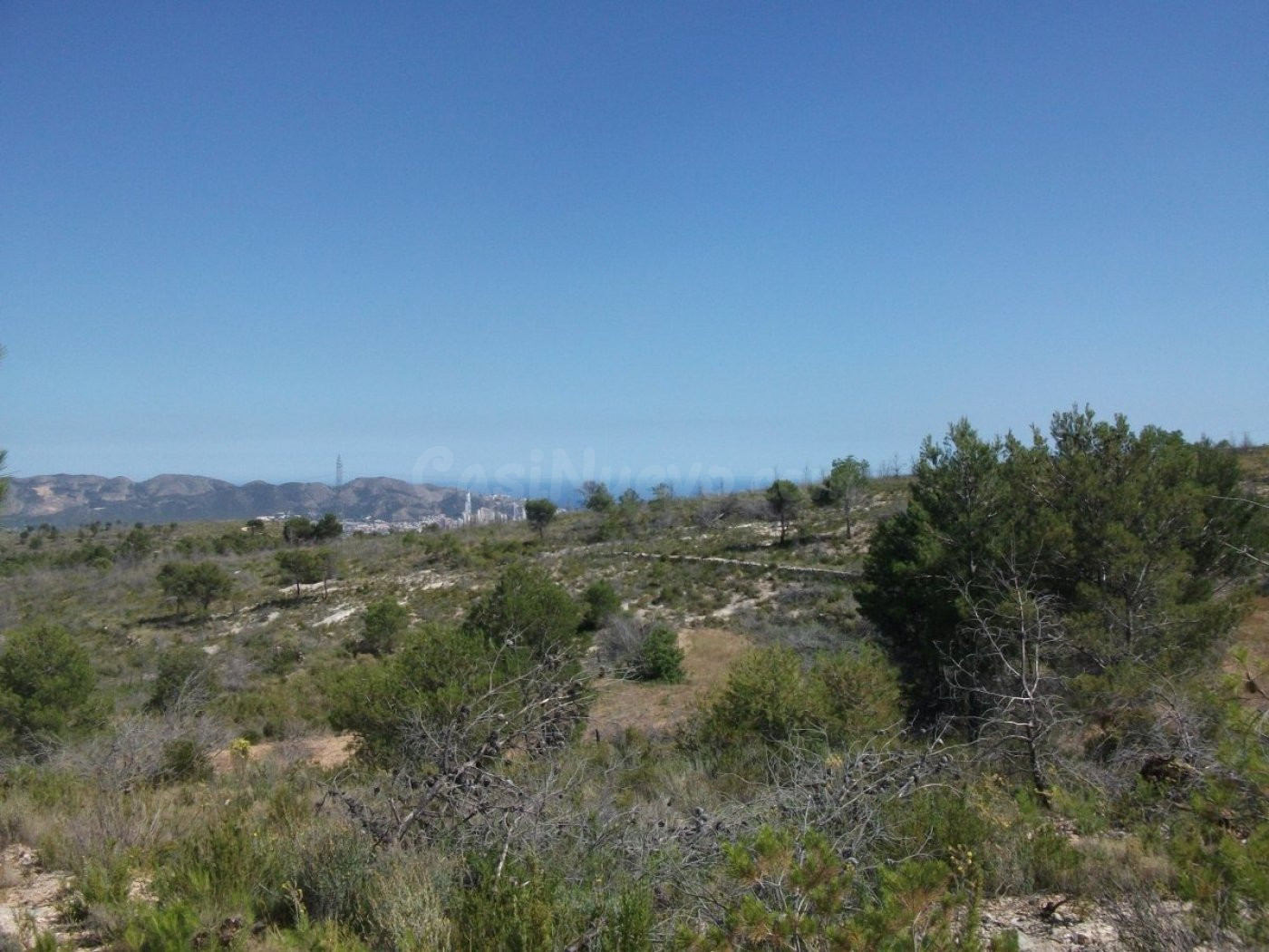 Terreno rural en venta - Urbanizaciones - foto 3