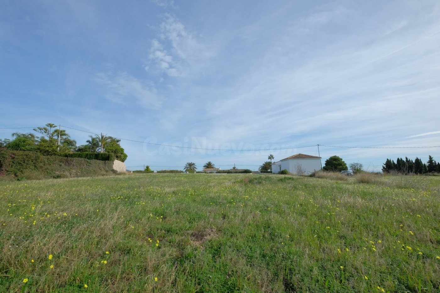 Terreno rural en venta - Pedramala