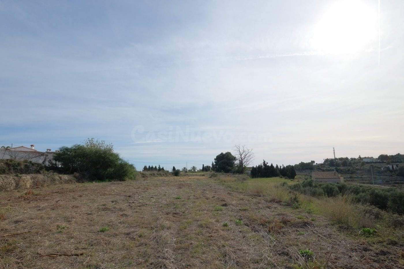 Terreno rural en venta - Pedramala - foto 5