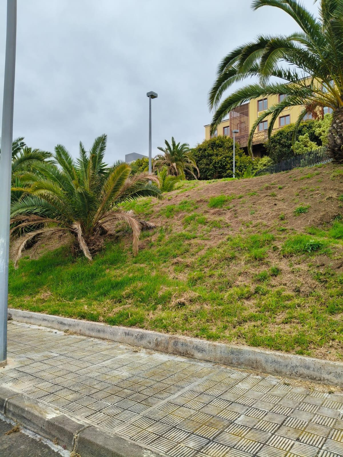 Vendo o PERMUTO Solar Urbano norte de TENERIFE !!!!! - foto 2