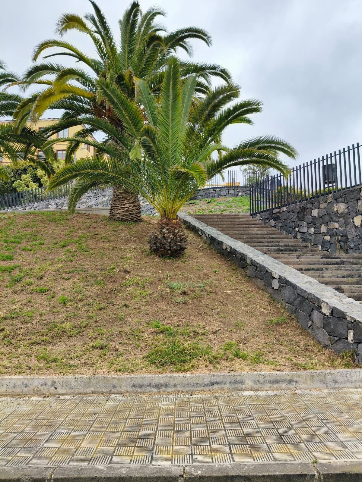 Vendo o PERMUTO Solar Urbano norte de TENERIFE !!!!! - foto 3