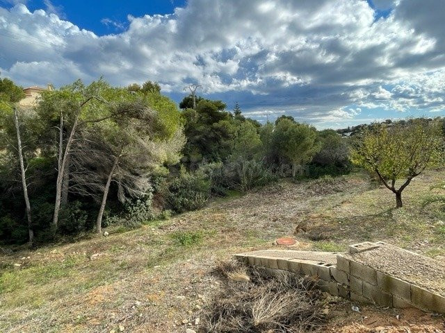 Parcela en venta - La Fustera - foto 3
