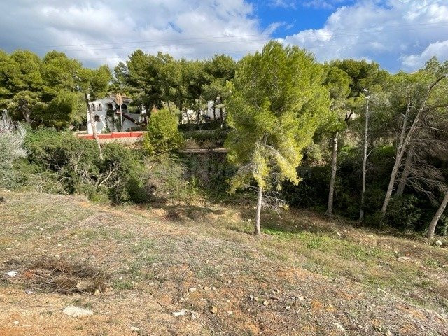 Parcela en venta - La Fustera - foto 4