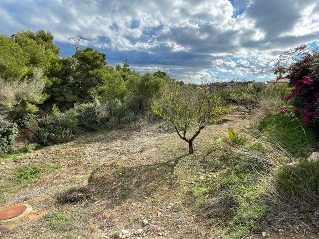 Parcela en venta - La Fustera - foto 3
