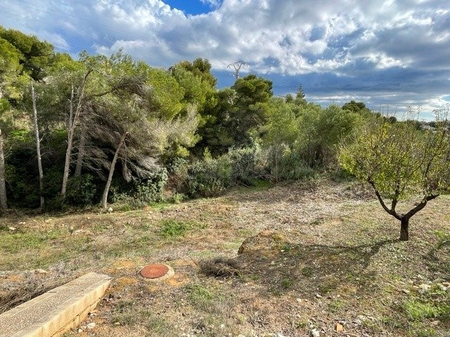 Parcela en venta - La Fustera - foto 4