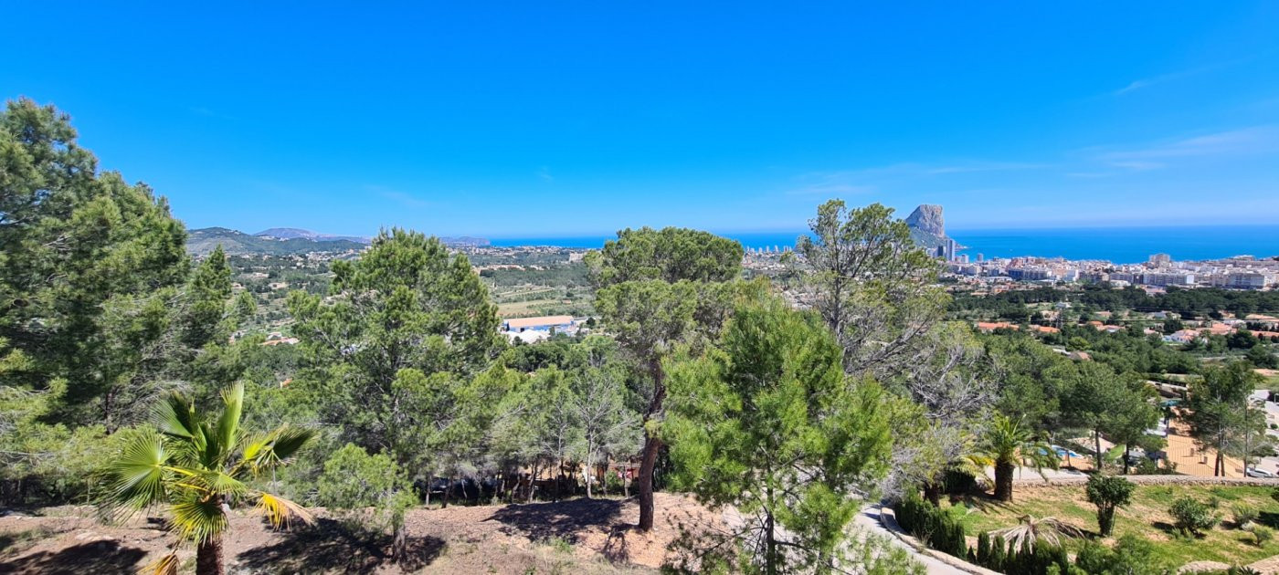 Parcela en venta - Oltamar - foto 2