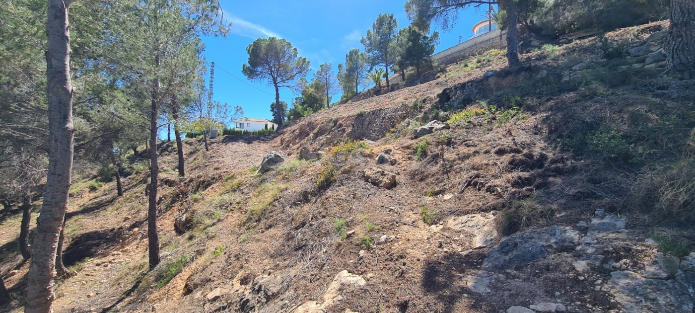 Parcela en venta - Oltamar - foto 5
