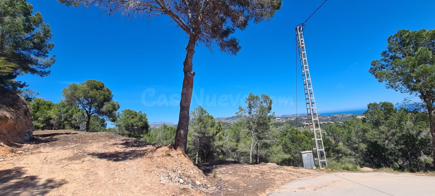 Parcela en venta - Oltamar - foto 4