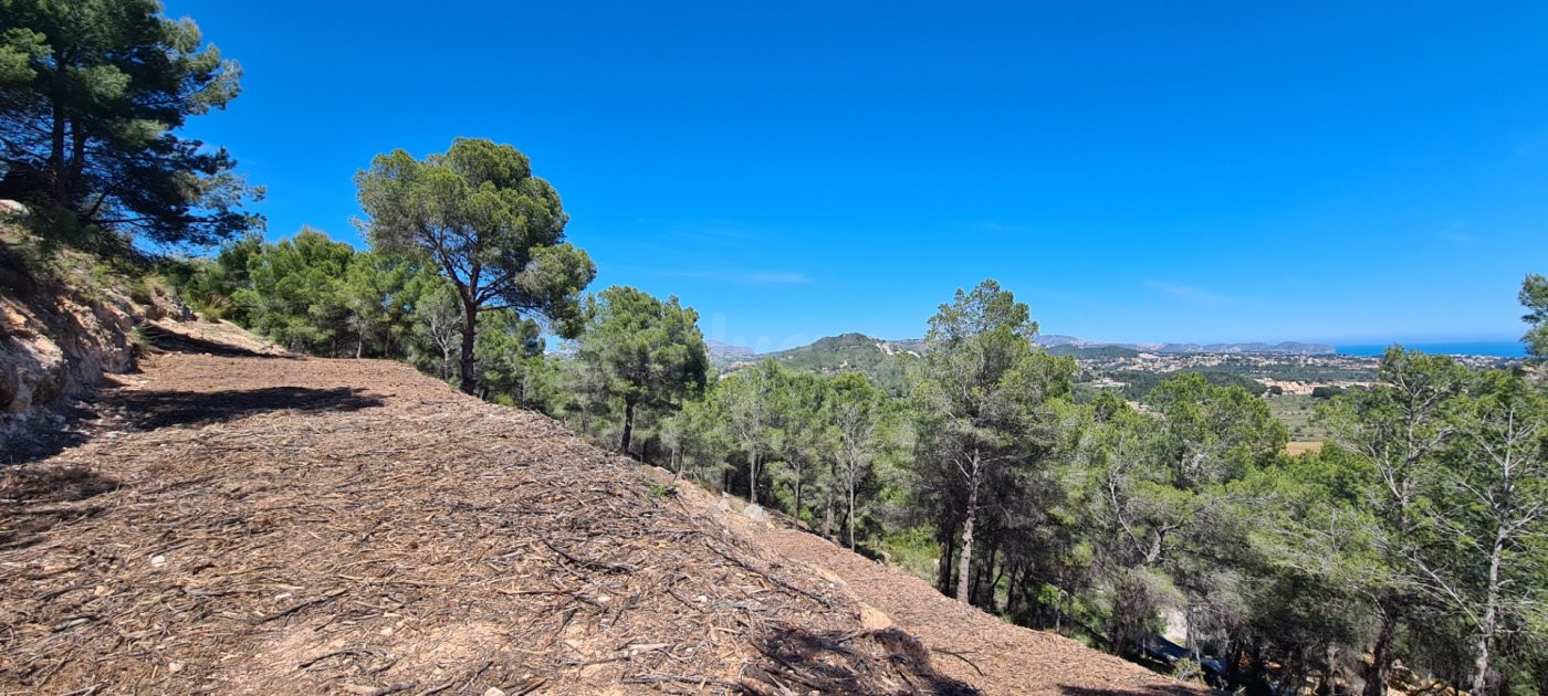 Parcela en venta - Oltamar - foto 5