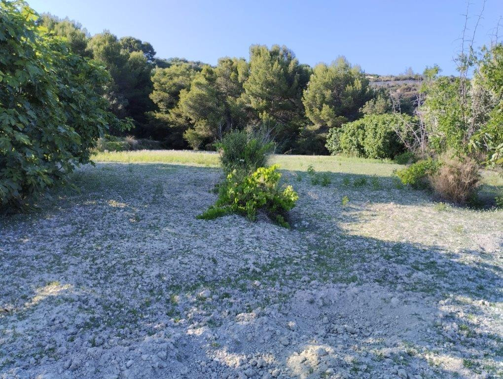 Parcela en venta - Coet - foto 2