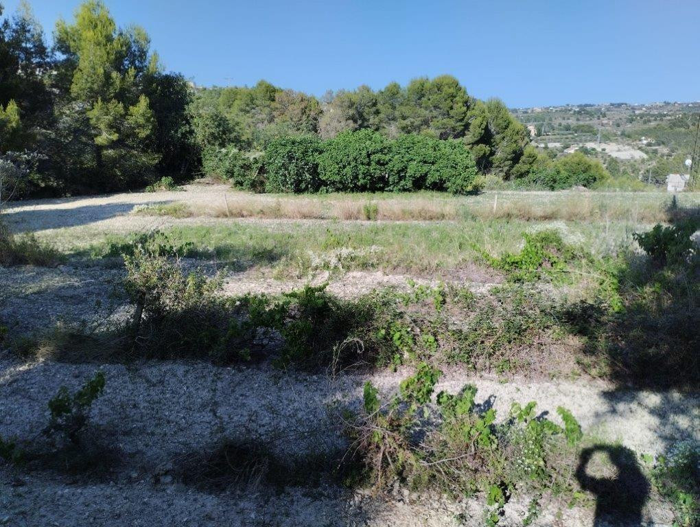 Parcela en venta - Coet - foto 3