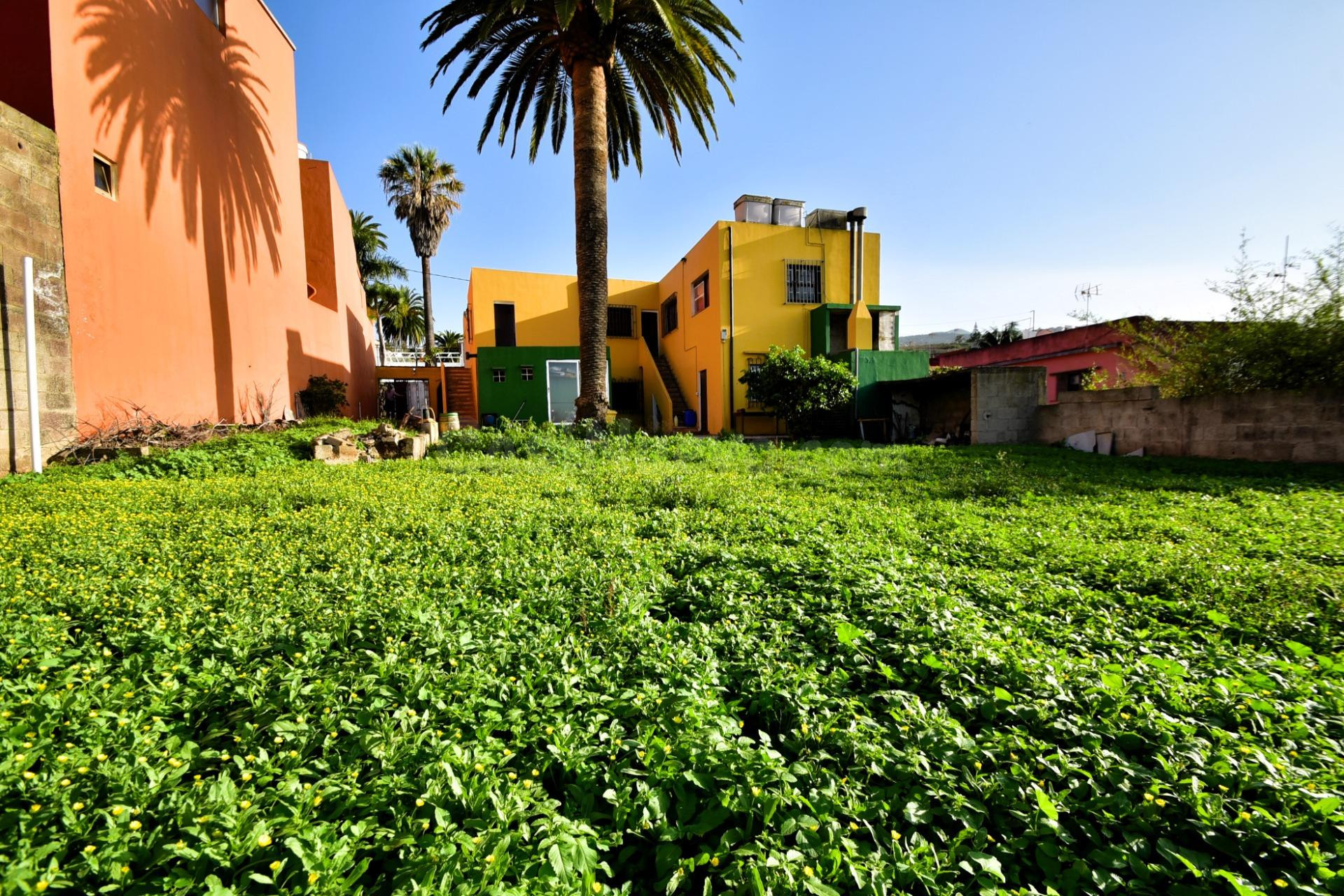 Casa Tradicional Canaria con Amplio Jardín - foto 3