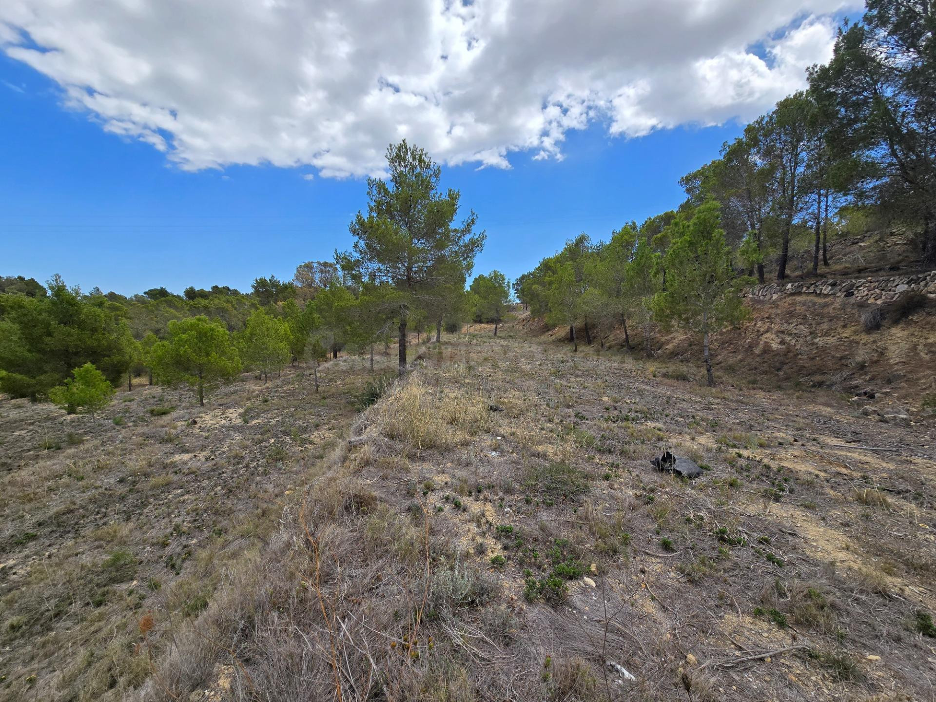 Terreno urbanizable en venta - La nucia - foto 4