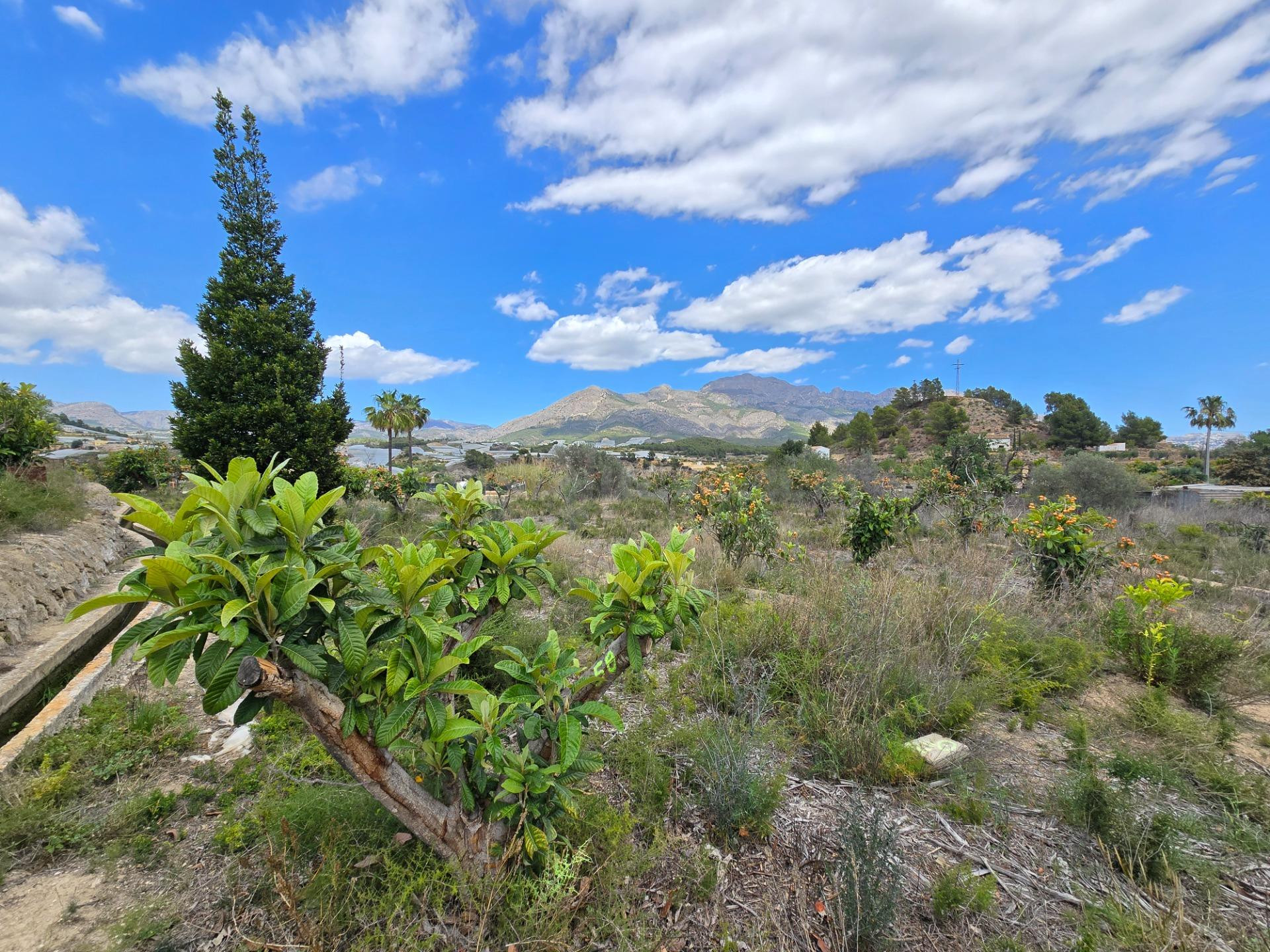 Terreno urbanizable en venta - La nucia - foto 5