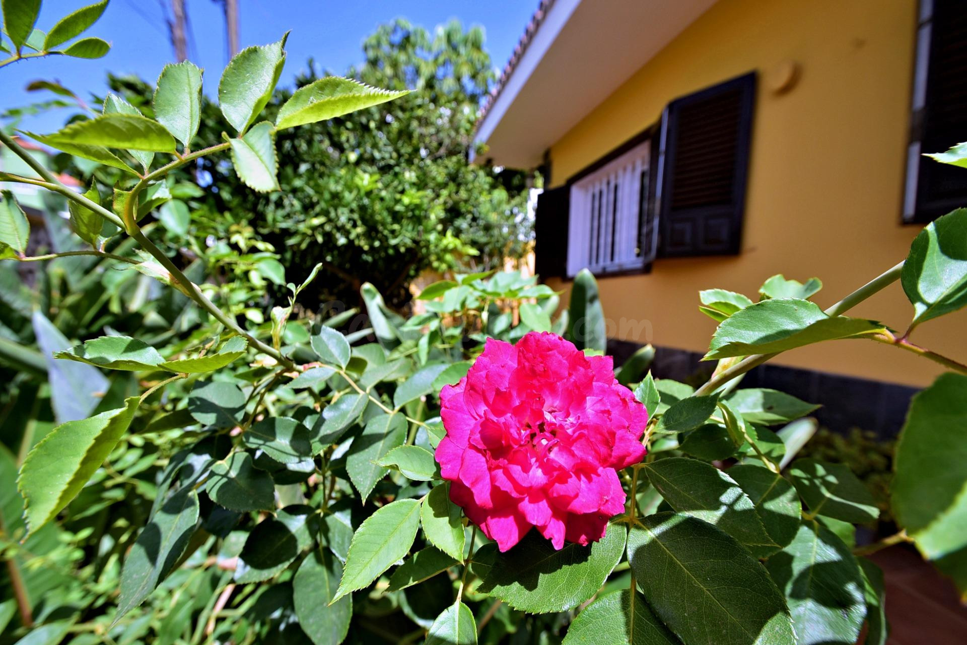 Chalet con Jardín en Geneto - foto 2