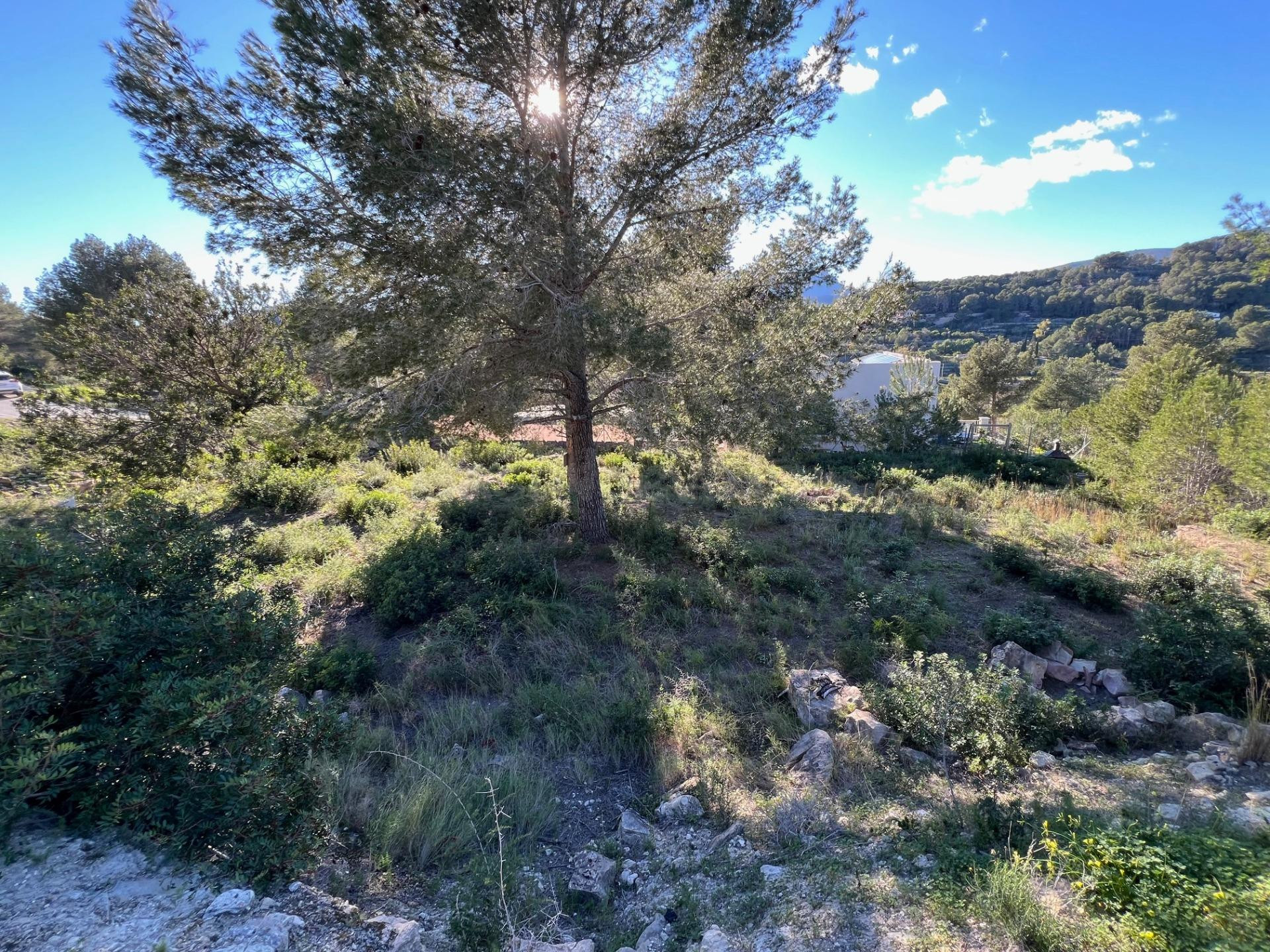 Parcela 330m² en venta - Empedrola - foto 4