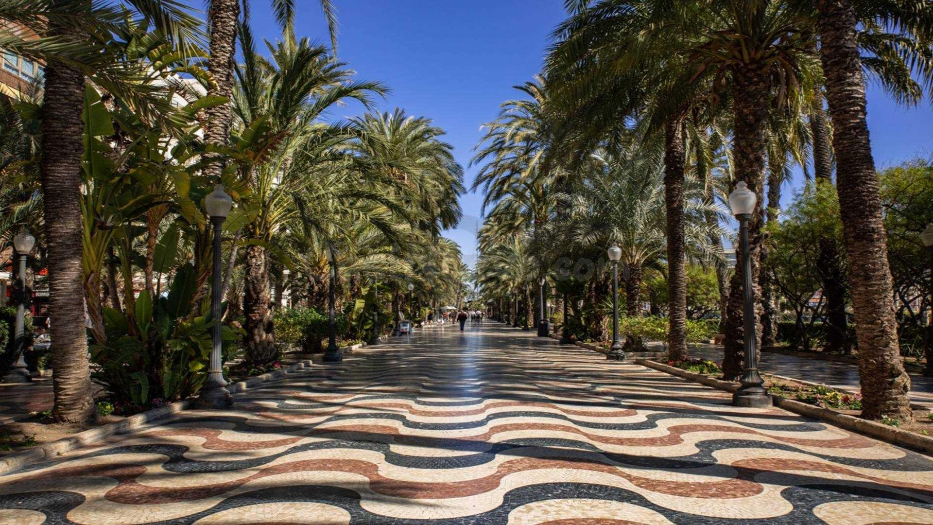 APARTAMENTOS TOTALMENTE REFORMADOS EN ALICANTE CIUDAD