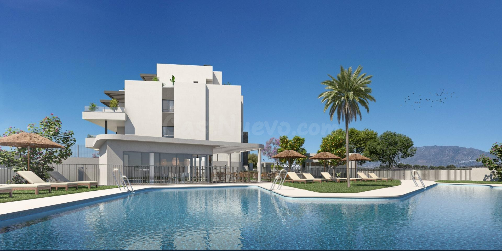 Exclusivo apartamento en planta tercera con amplia terraza y - foto 4
