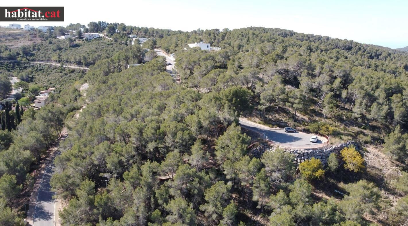 ¡¡ PARCELA EN SANT PERE -  URBANIZACIÓN MAS ALBA !! - foto 5