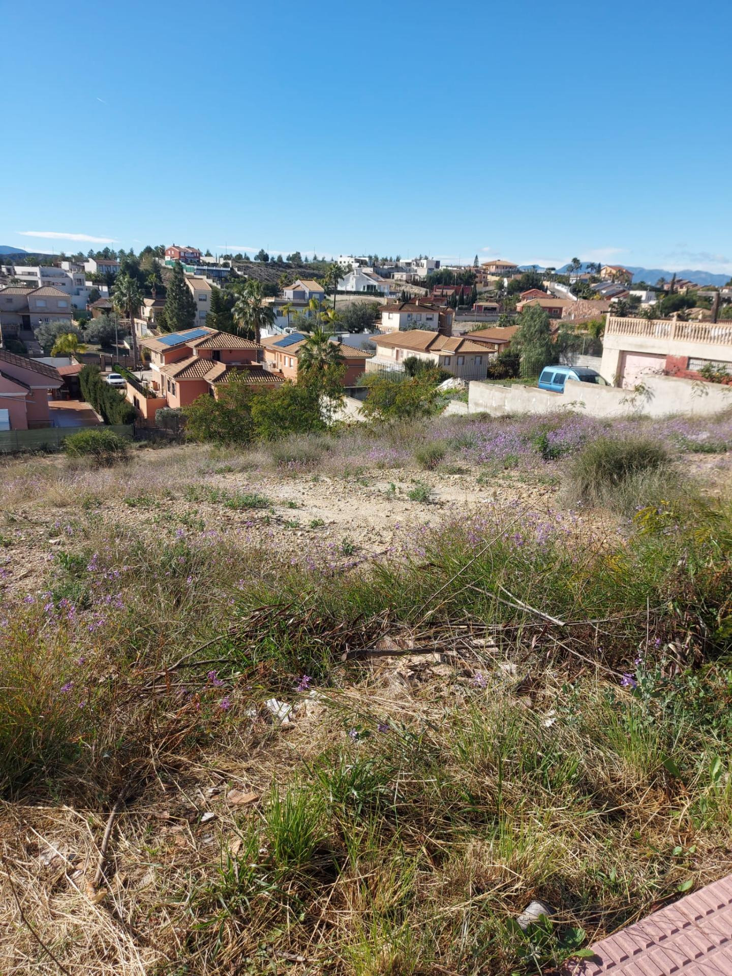 PARCELA URBANA EN VENTA EN RESIDENCIAL EL COTO EN LAS TORRES - foto 3