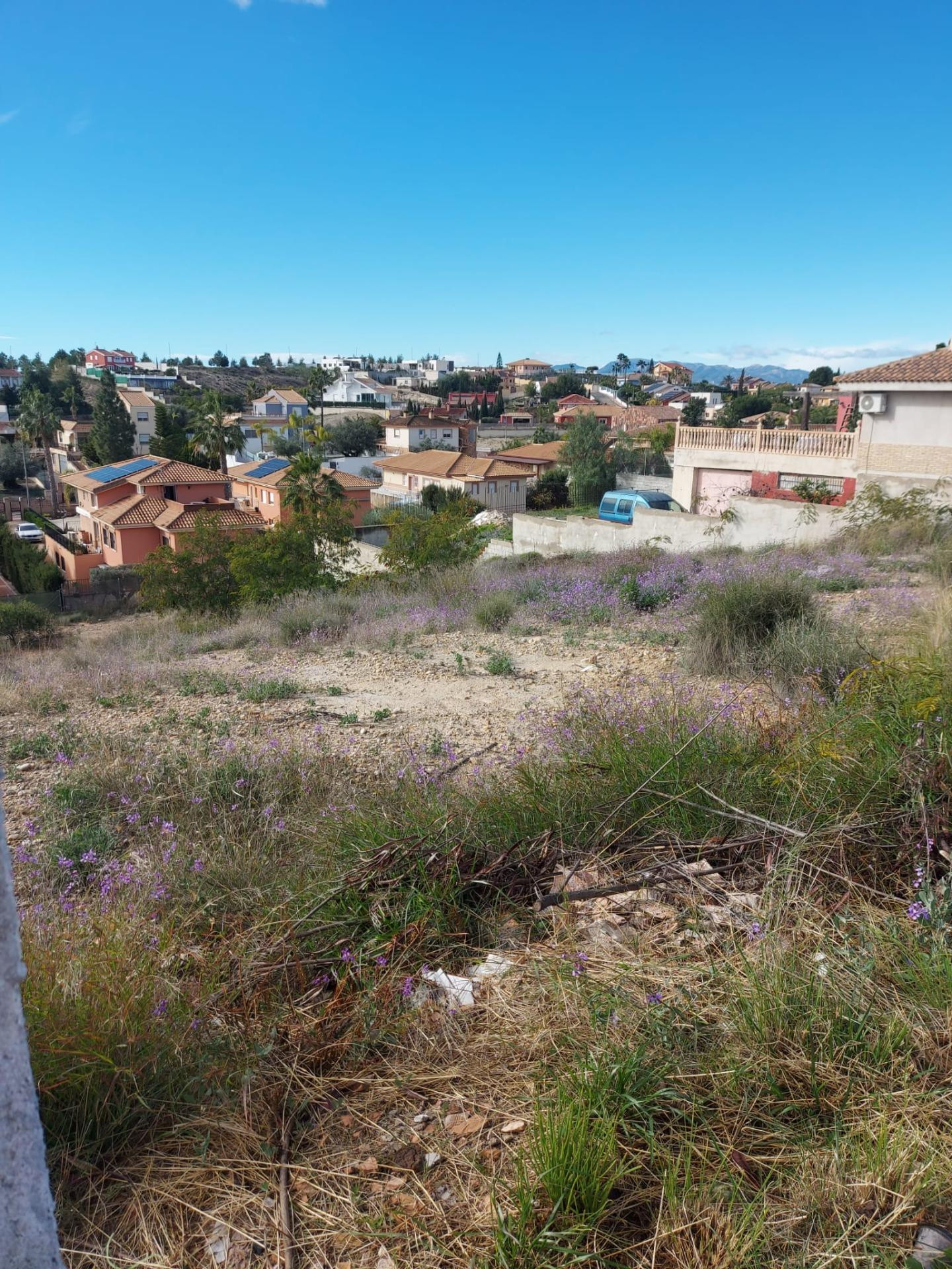 PARCELA URBANA EN VENTA EN RESIDENCIAL EL COTO EN LAS TORRES - foto 4