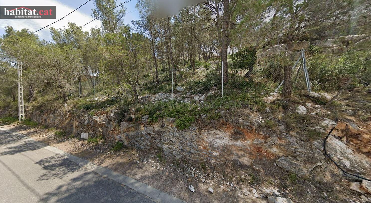 PARCELA EN MAS MESTRE - OLIVELLA - foto 4