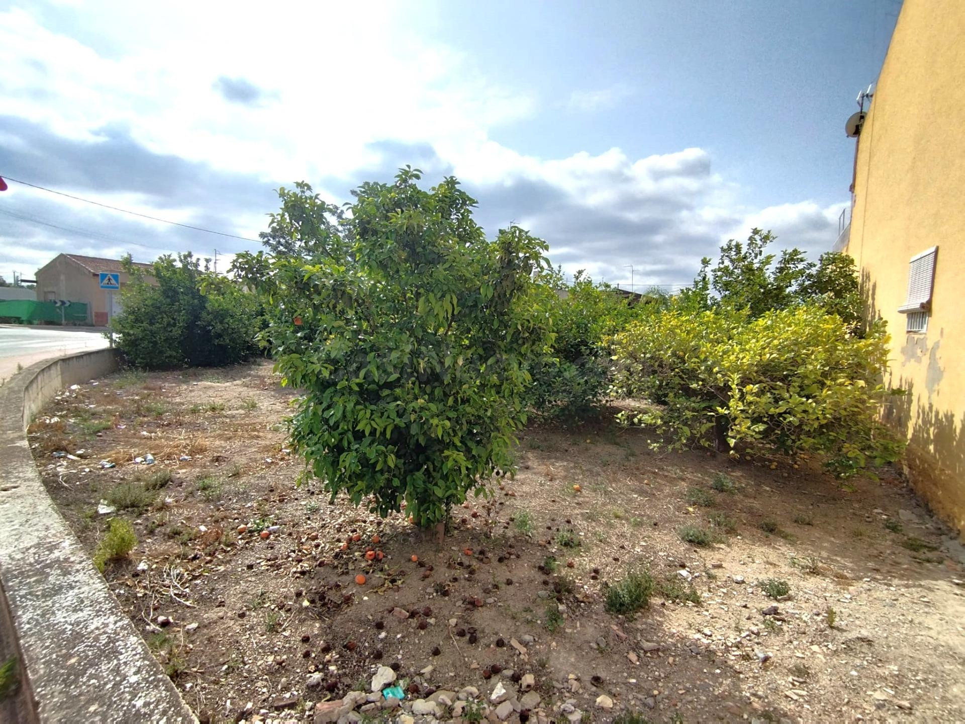 PARCELA URBANA EN RINCON DE SECA - foto 3