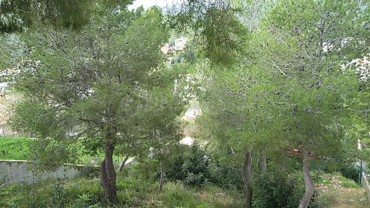 Magnifica parcela en venta en la zona de Quint Mar - foto 2