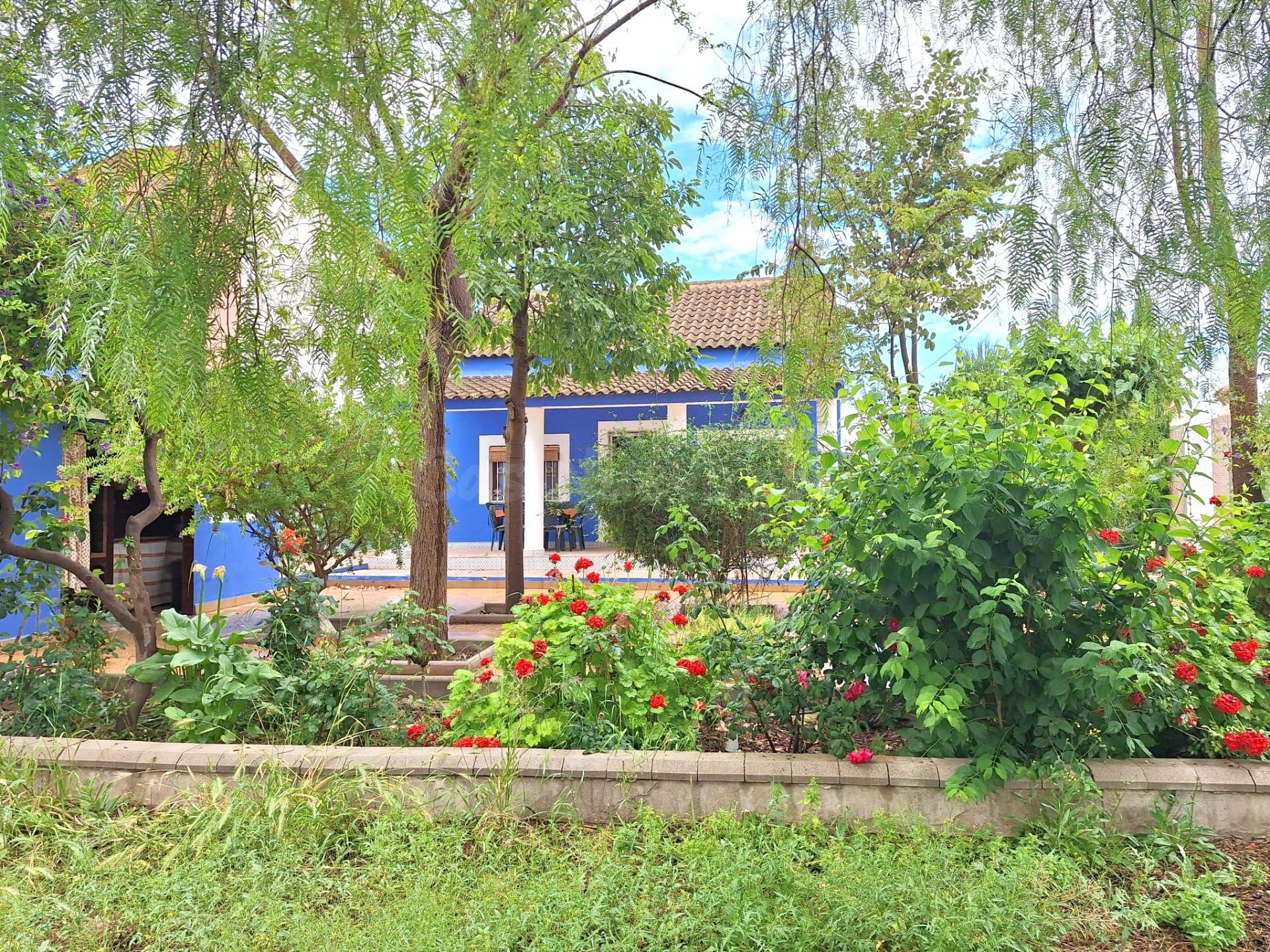 VENDEMOS COQUETA CASA DE HUERTA  CON TERRENO EN SANGONERA LA