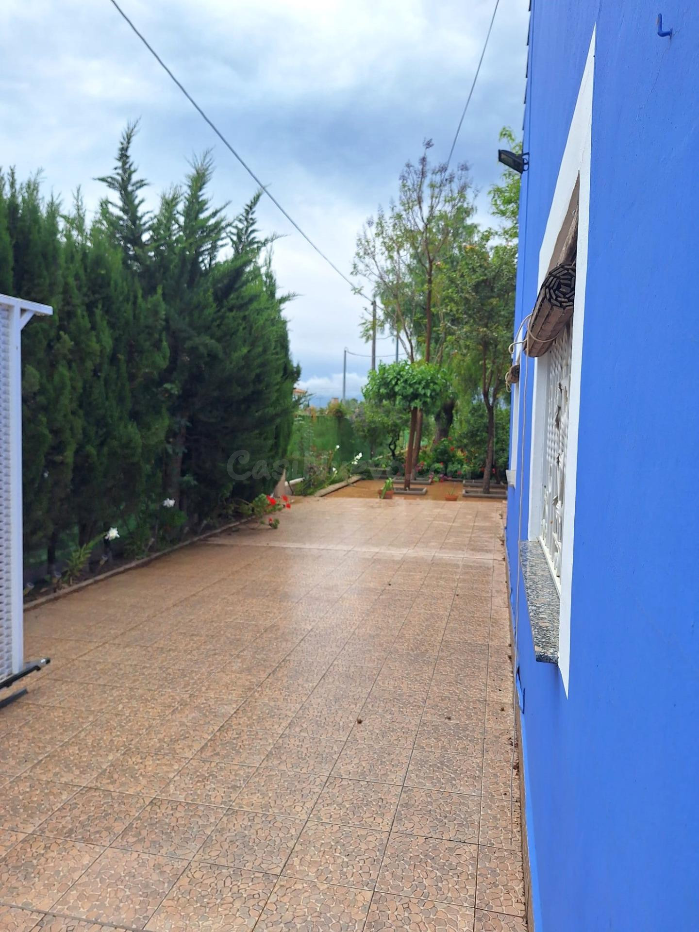VENDEMOS COQUETA CASA DE HUERTA  CON TERRENO EN SANGONERA LA - foto 5
