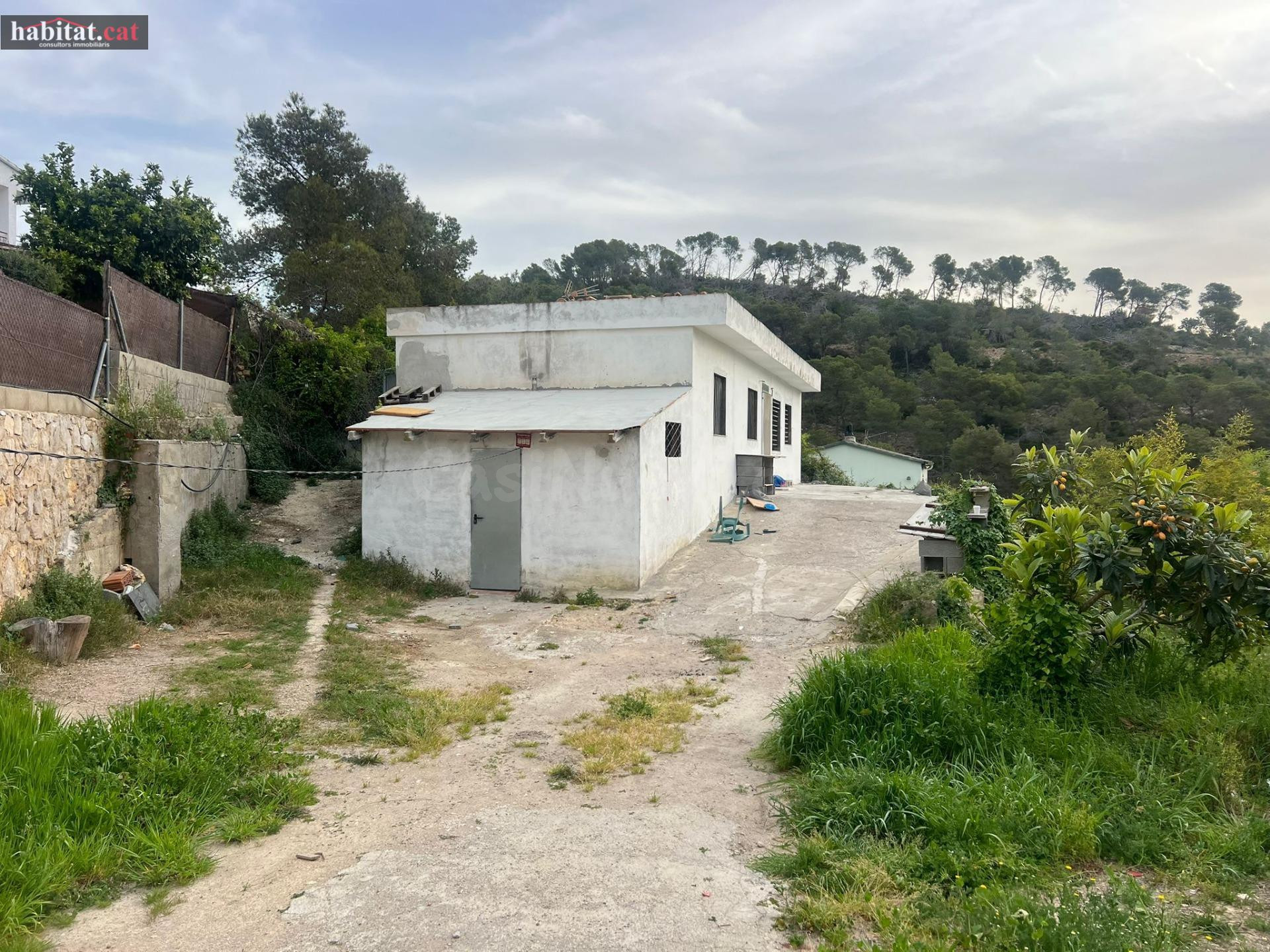 CASA EN UNA GRAN PARCELA - MAS TRADER, CUBELLES