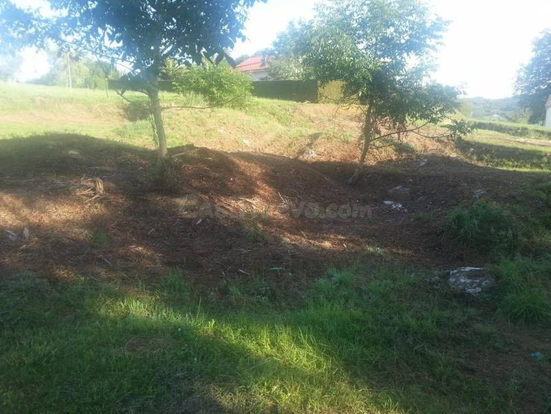 PARCELA URBANA EN GÜEMES - foto 4
