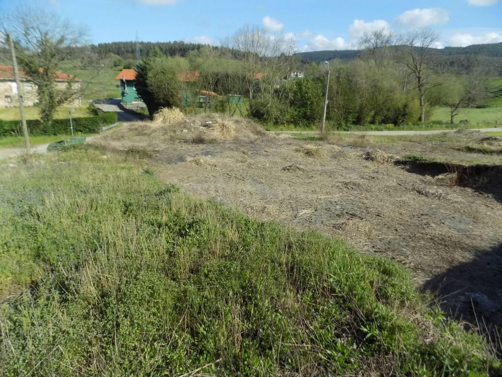 PARCELA URBANA EN GÜEMES - foto 5