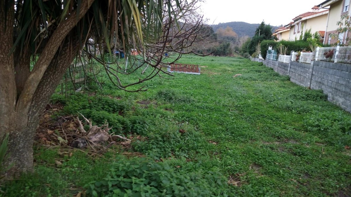 UN BONITO TERRENO EN CASTILLO DONDE EDIFICAR TU FUTURO