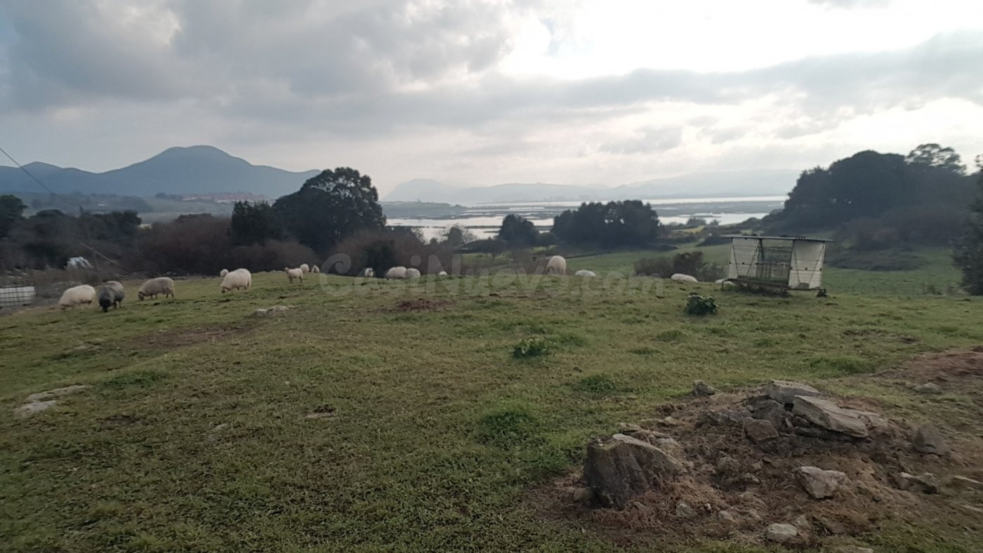 terreno agrario en argoños