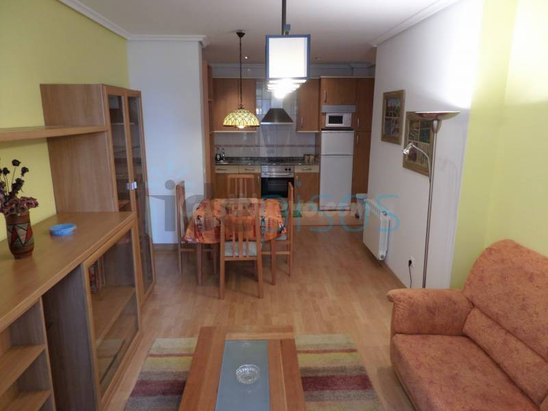 FANTASTICO APARTAMENTO PALACIO FESTIVALES - foto 4