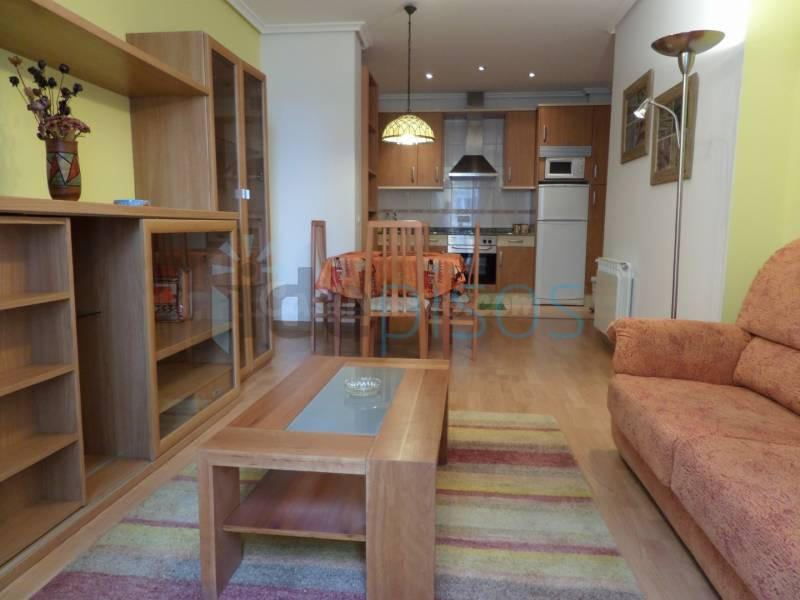 FANTASTICO APARTAMENTO PALACIO FESTIVALES - foto 5