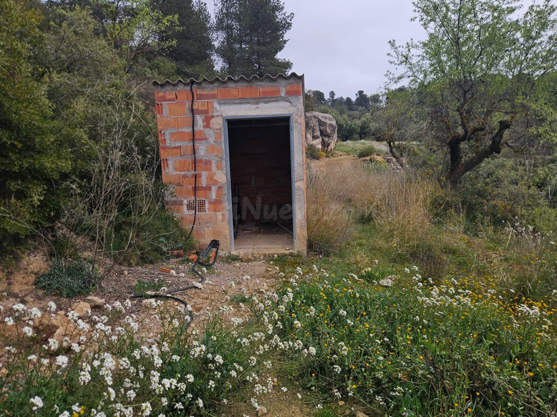 Terreno rural 5m² en venta - Area de granadellas cervia - foto 2