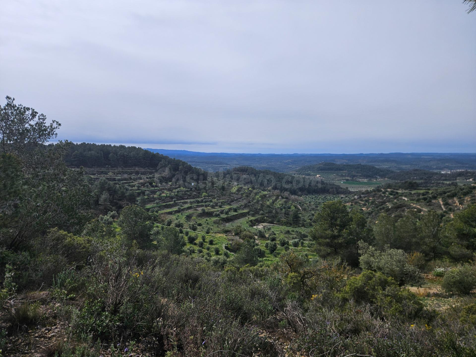 Terreno rural 5m² en venta - Area de granadellas cervia - foto 4