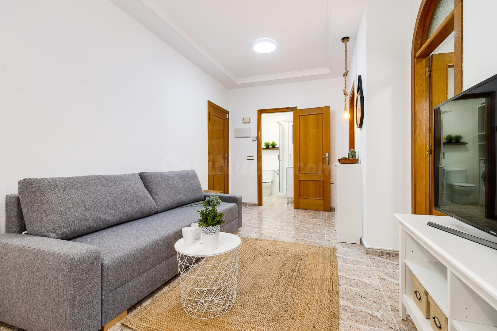 ALQUILER APARTAMENTO 1 DORMITORIO COMO NUEVO - foto 5