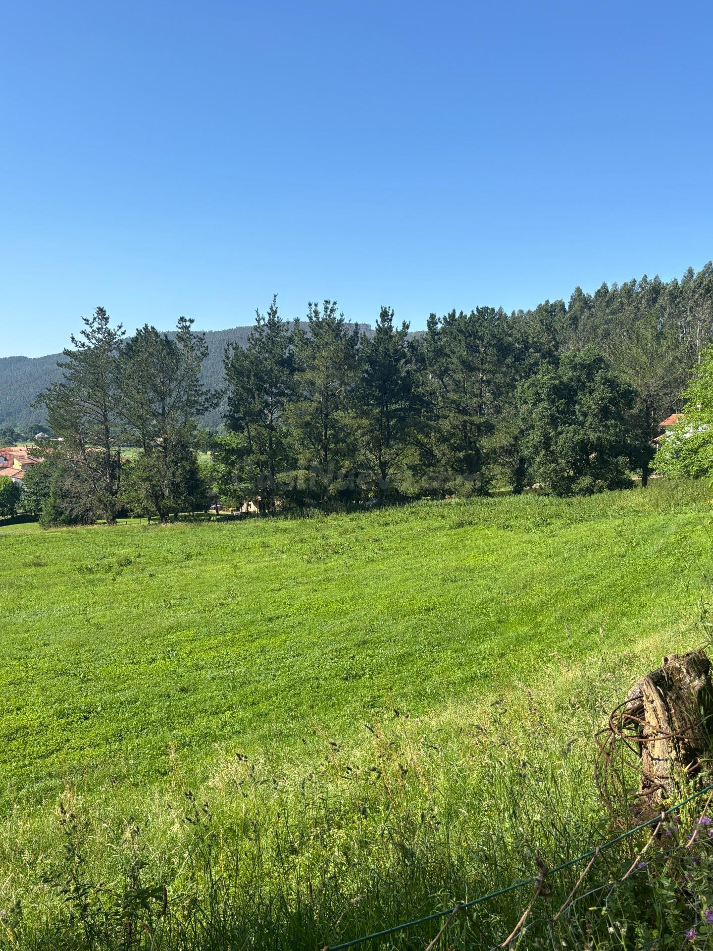 Terreno rustico con posibilidad de construir - foto 2