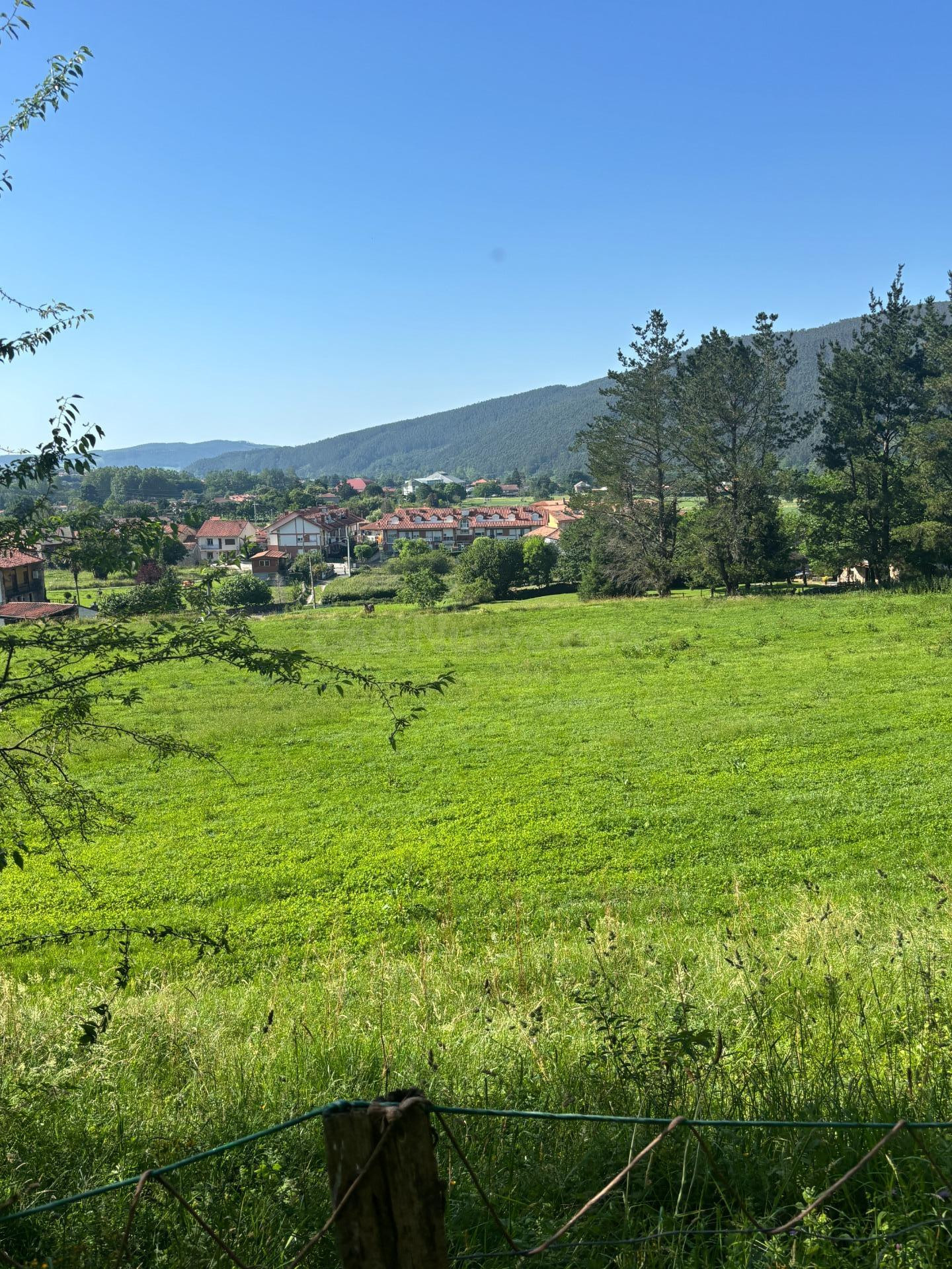 Terreno rustico con posibilidad de construir - foto 3